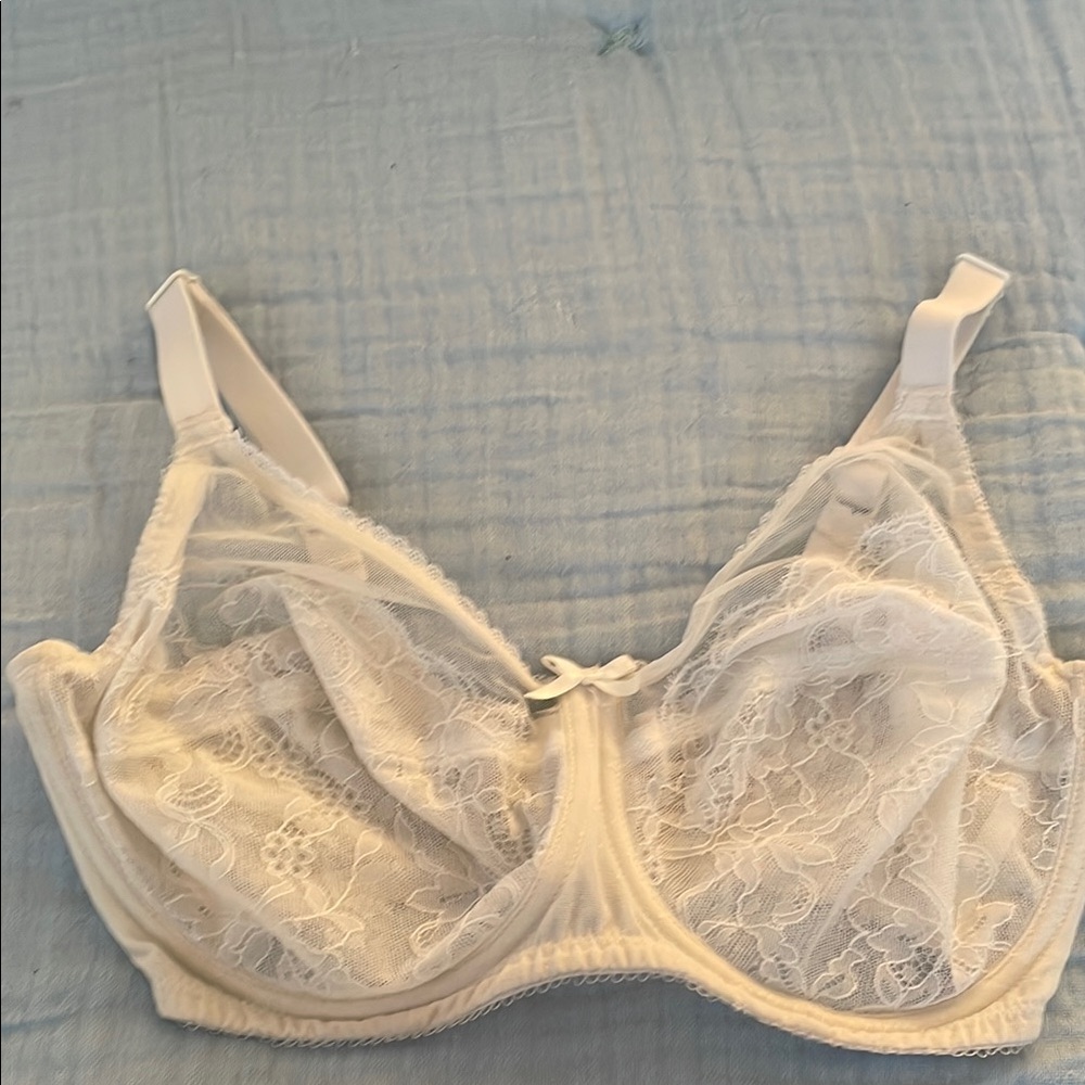Wacoal Retro Chic Elegant Lace Bra in Ivory